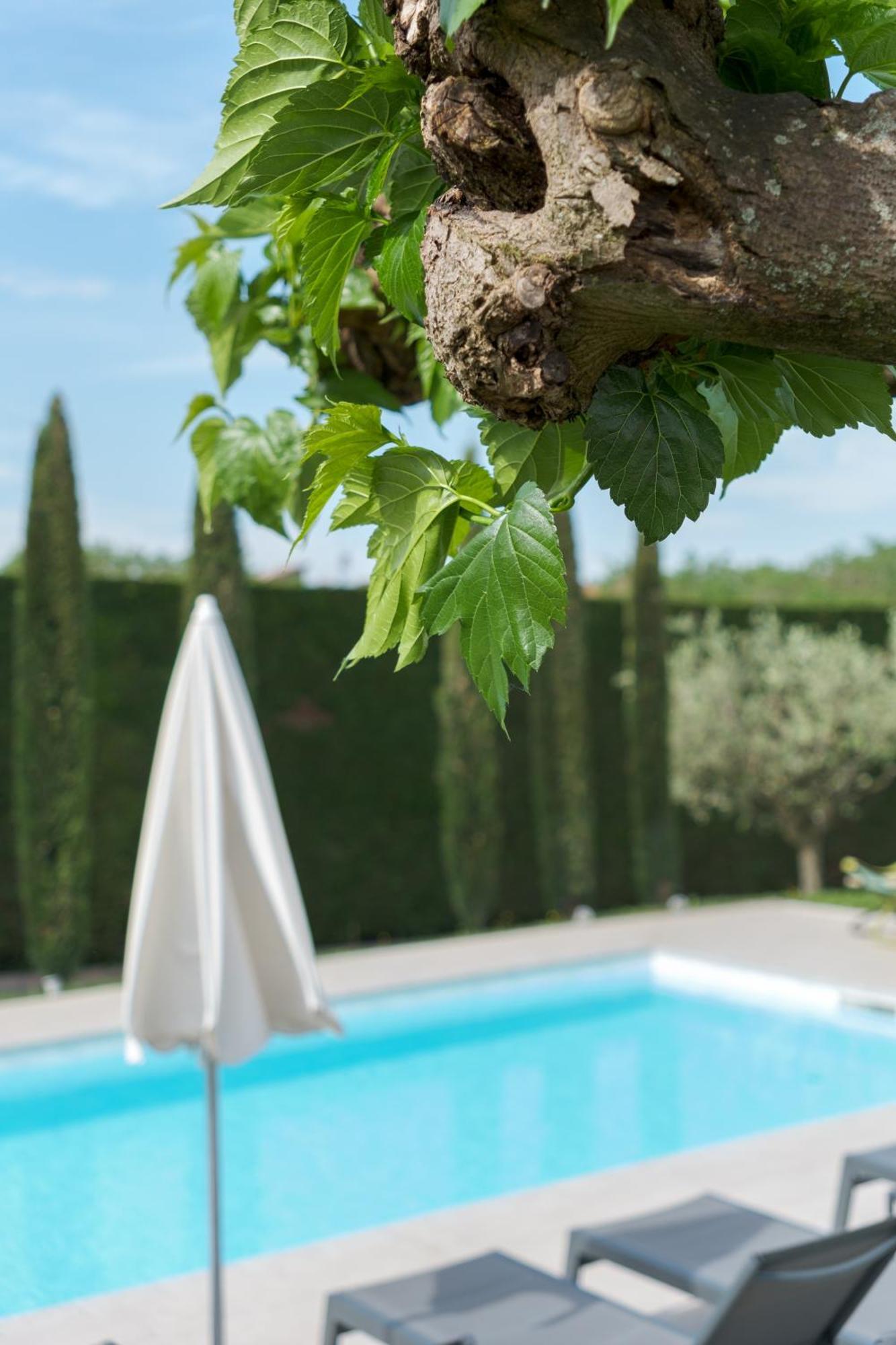 Villa Carini With 3000 Mq Garden & Heated Pool Кастельнуово-дель-Гарда Екстер'єр фото
